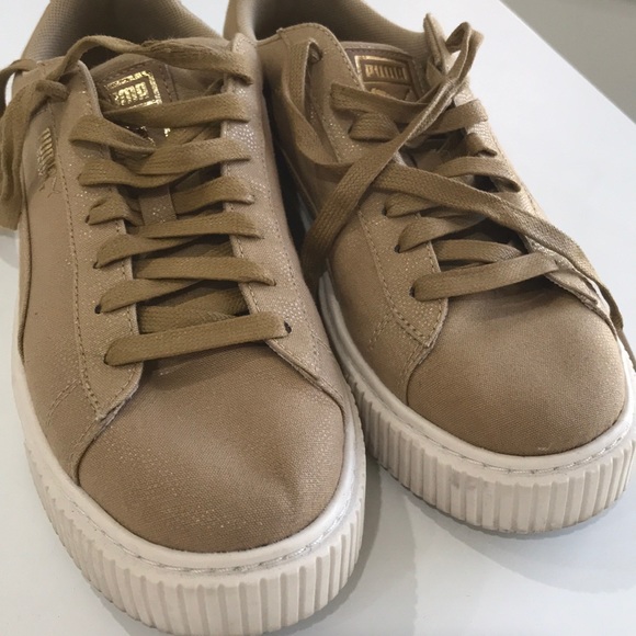 puma camel puma camel
